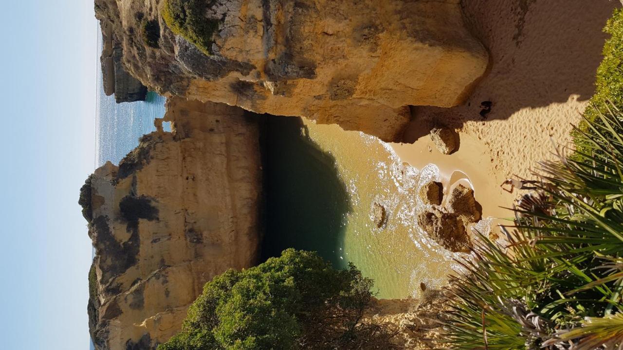 Magnific Studio With A Cozy Garden, 5 Minutes To The Beach Albufeira Kültér fotó